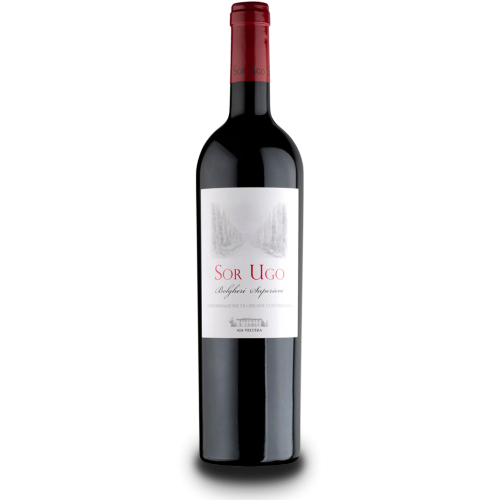 AIA Vecchia Sor Ugo Bolgheri Rosso Superiore DOC 1.5l AIA Vecchia Sor Ugo Bolgheri Rosso Superiore DOC 1.5l